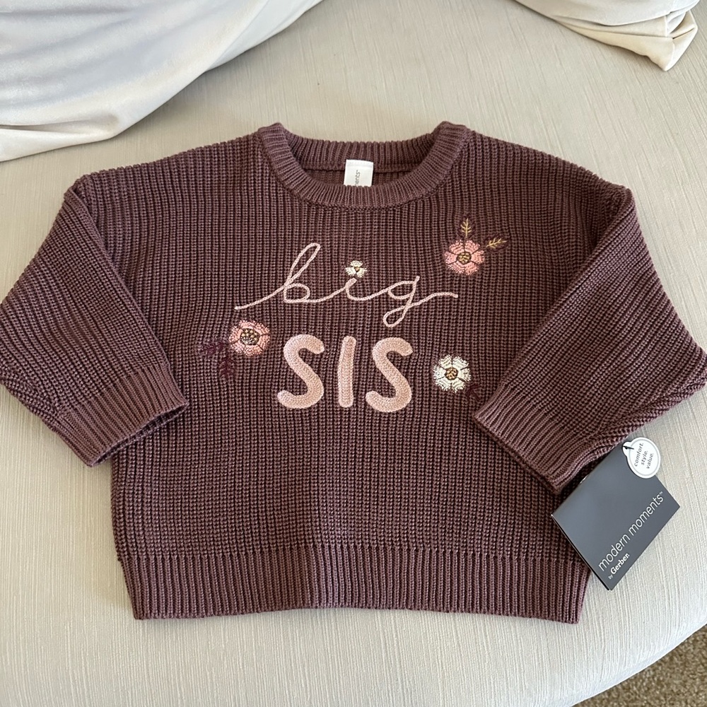 Big SIS Embroidered Knit Sweater - Mauve Pink Floral | size 18 Months